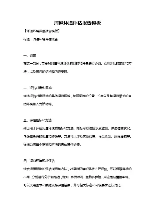 河道环境评估报告模板