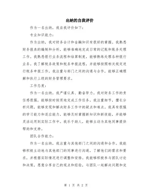 出纳的自我评价