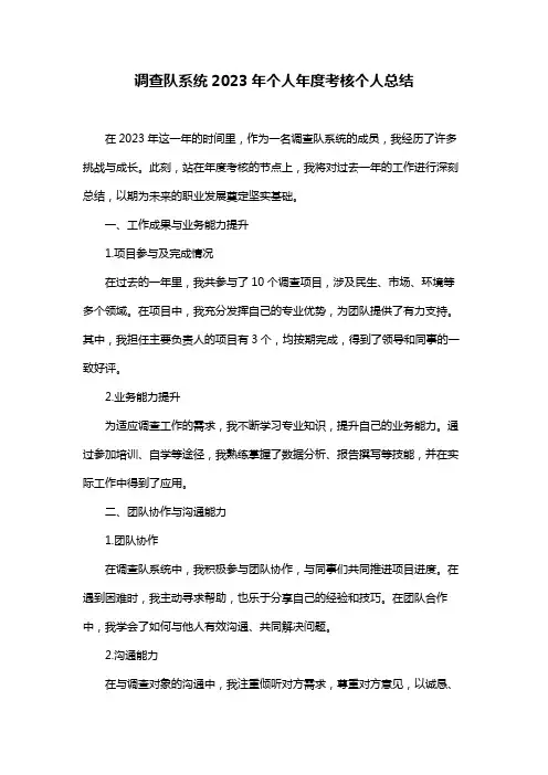 调查队系统2023年个人年度考核个人总结