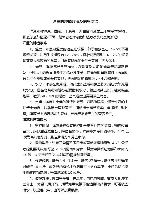 洋葱的种植方法及病虫防治