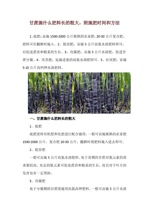 甘蔗施什么肥料长的粗大,附施肥时间和方法