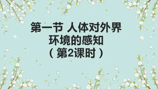 人体对外界环境的感知(二)课件-人教版生物七年级下册