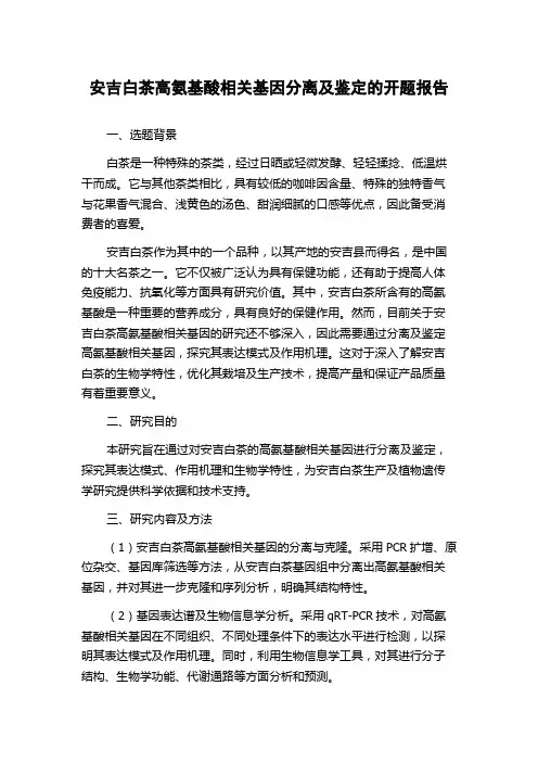 安吉白茶高氨基酸相关基因分离及鉴定的开题报告