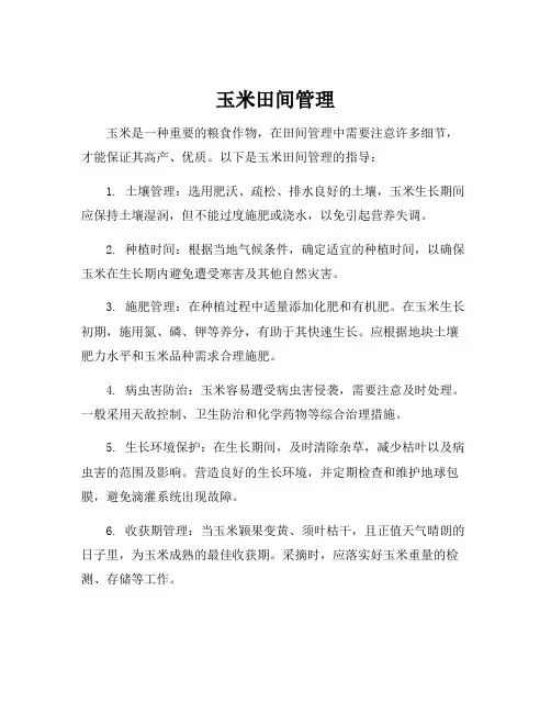 玉米田间管理