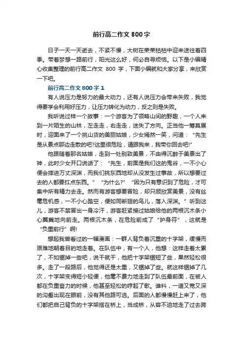 前行高二作文800字