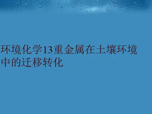 环境化学13重金属在土壤环境中的迁移转化