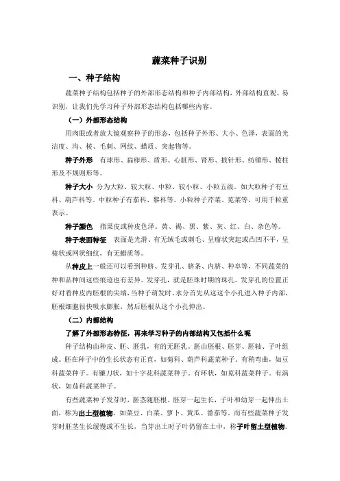 蔬菜种子识别