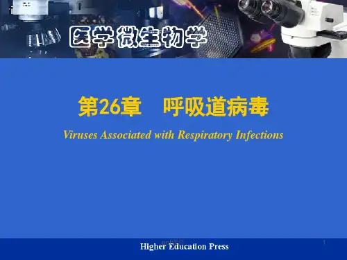 《医学微生物学》呼吸道病毒  ppt课件