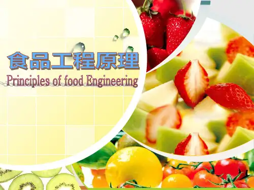 食品工程原理概述经典课件(PPT65页)