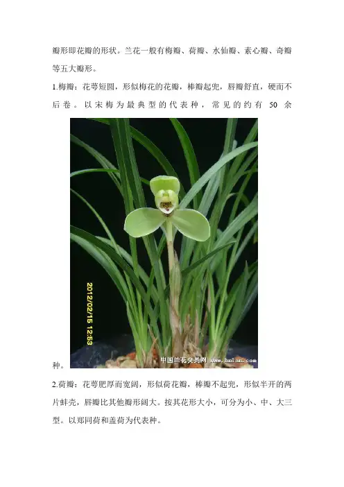 兰花瓣形