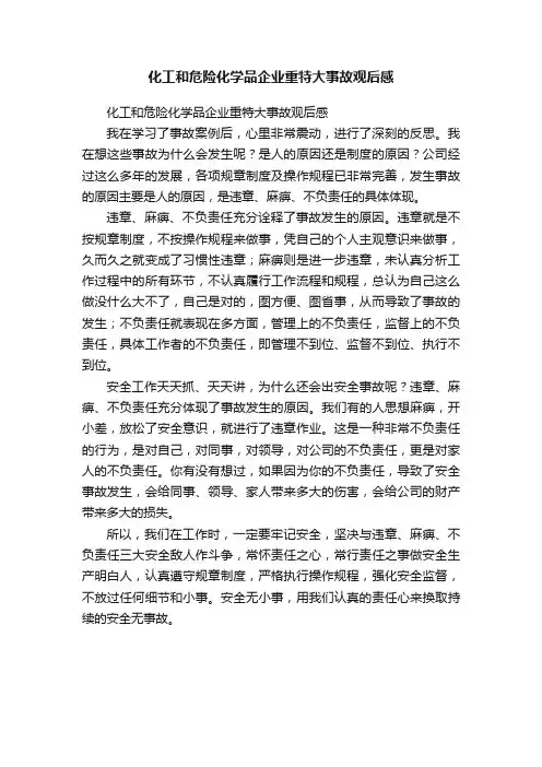 化工和危险化学品企业重特大事故观后感