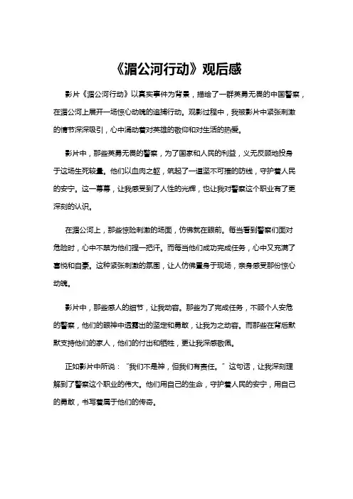 【观后感】《湄公河行动》观后感