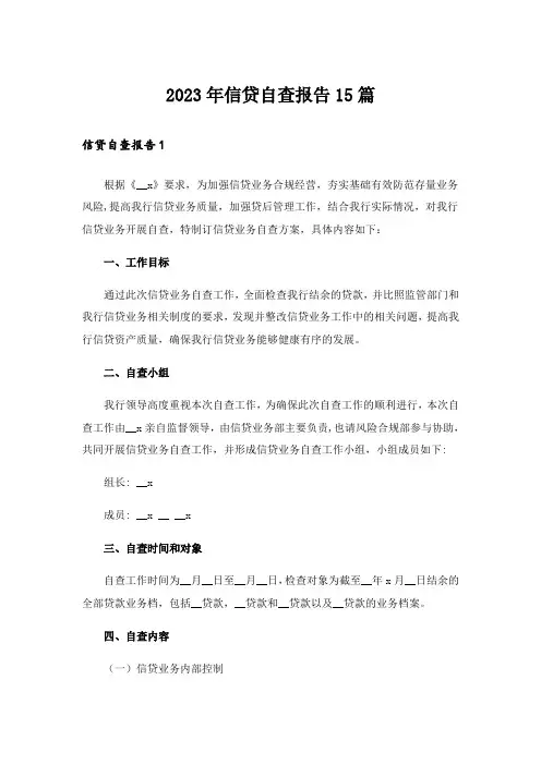 2023年信贷自查报告15篇_1