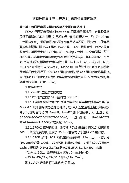 猪圆环病毒2型（PCV2）衣壳蛋白表达综述