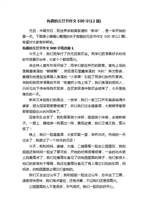 有趣的元旦节作文500字（12篇）