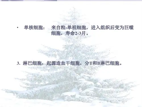 白细胞检查PPT课件-精选文档