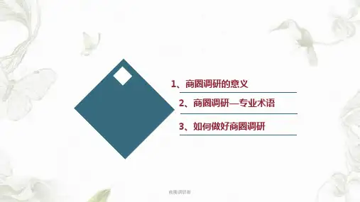 商圈调研新PPT课件