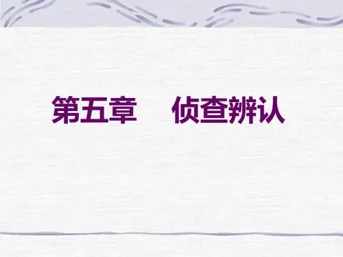 侦查策略课件(PPT 39张)