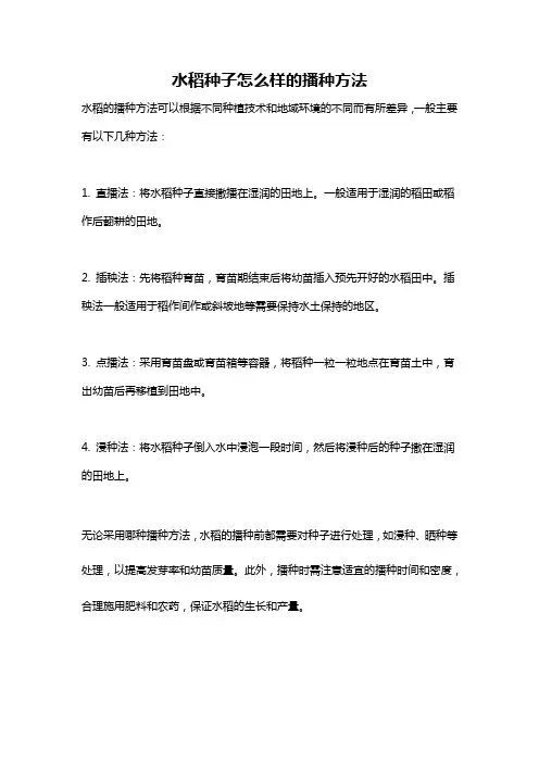 水稻种子怎么样的播种方法