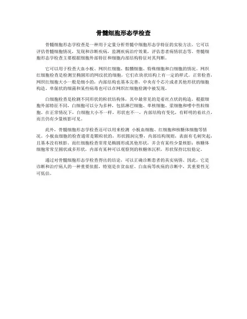 骨髓细胞形态学检查