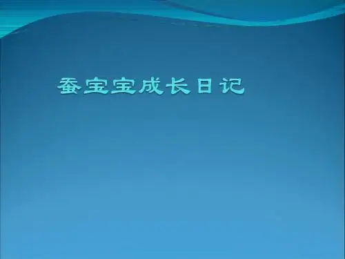 蚕的生长过程