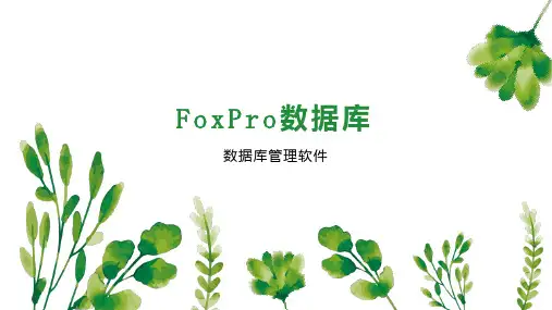 FoxPro数据库