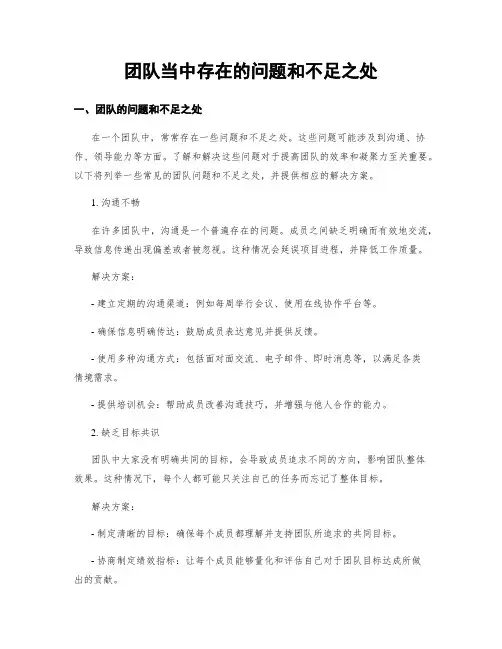 团队当中存在的问题和不足之处
