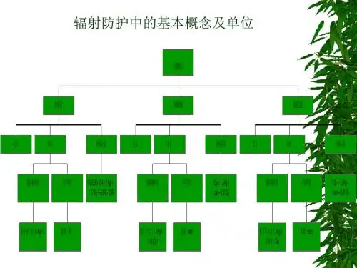 第四部分核辐射防护