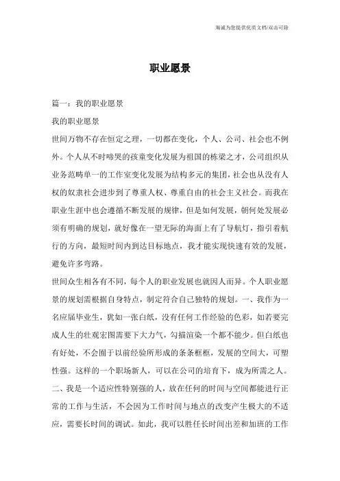 职业愿景