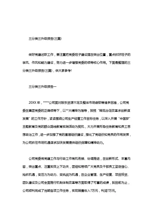 三分类三升级报告(三篇)
