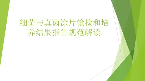 细菌与真菌涂片镜检和培养结果报告规范解读