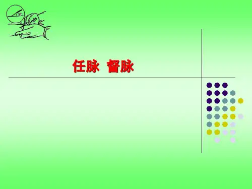 任脉督脉[PPT课件]