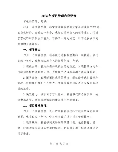 2023年项目经理自我评价