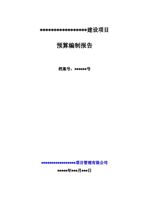 预算编制报告
