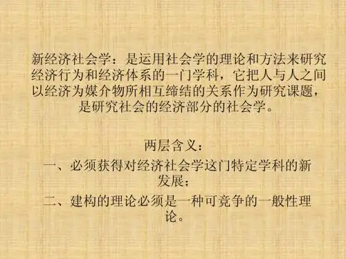 新经济社会学