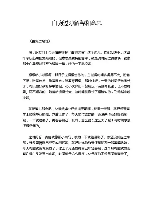 白驹过隙解释和意思