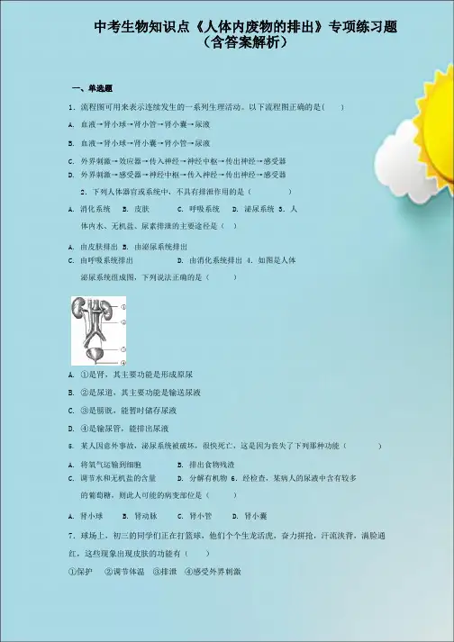 中考生物知识点《人体内废物的排出》专项练习题(含答案解析)