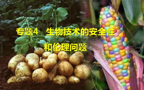 专题4 4.3 禁止生物武器-2020-2021学年高二生物(人教版选修3)
