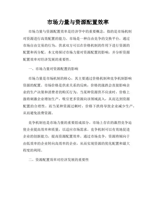 市场力量与资源配置效率