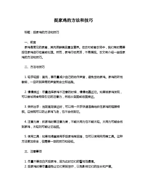 捉家鸡的方法和技巧