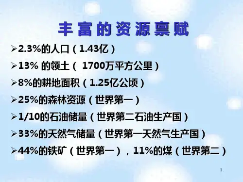 第四章转轨国家经济