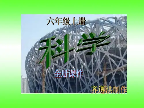 六年级上册科学全册课件