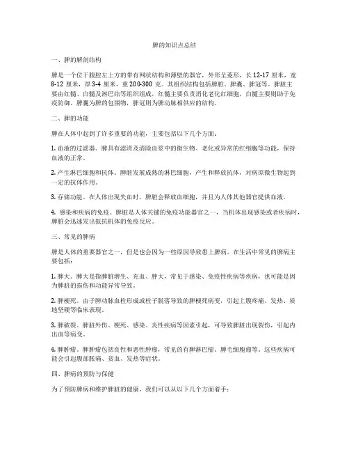 脾的知识点总结