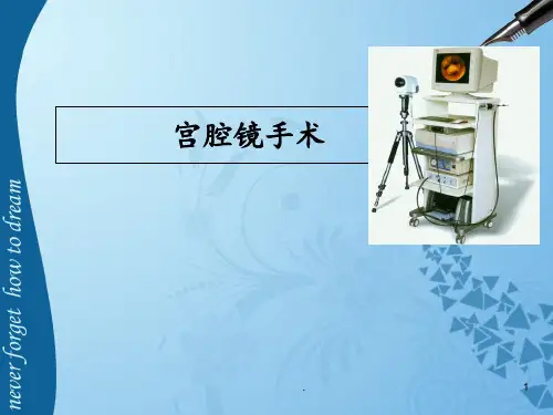 宫腔镜手术PPT课件
