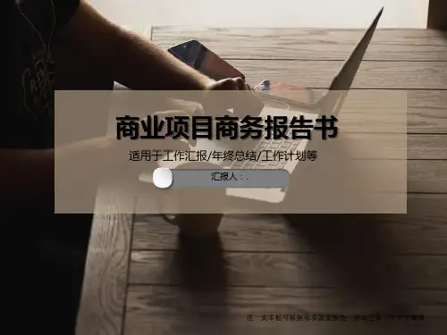 商业项目商务报告书PPT模板