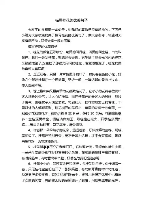 描写桂花的优美句子