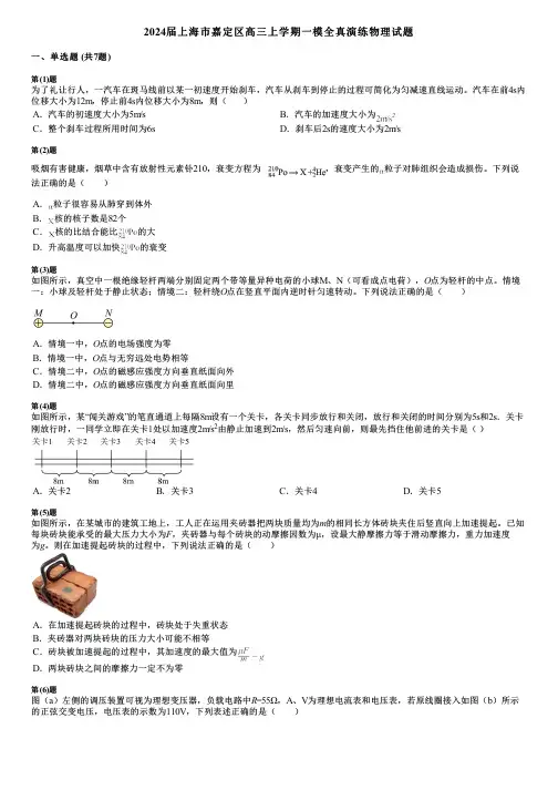 2024届上海市嘉定区高三上学期一模全真演练物理试题