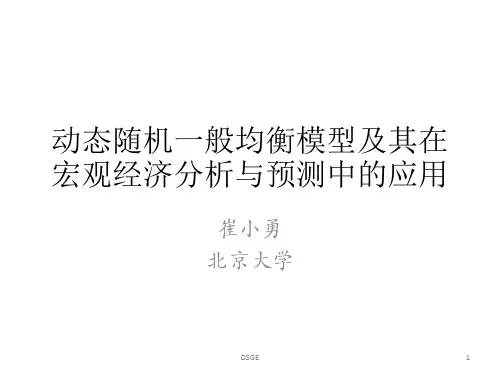 动态随机一般均衡模型及其应用DSGE精品PPT课件