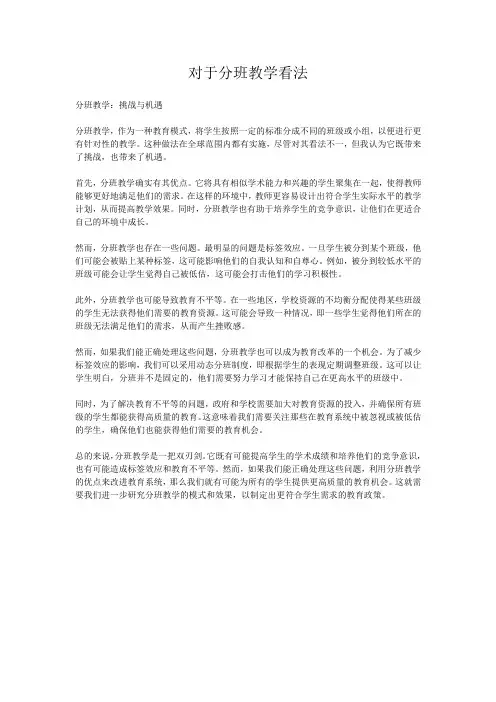 对于分班教学看法