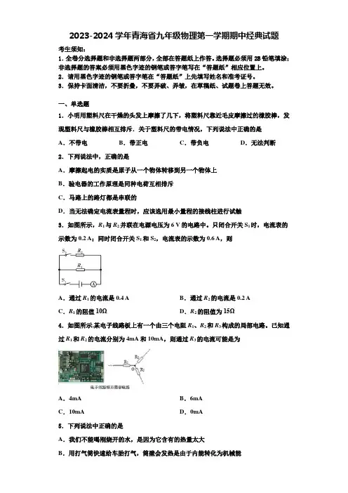 2023-2024学年青海省九年级物理第一学期期中经典试题含解析